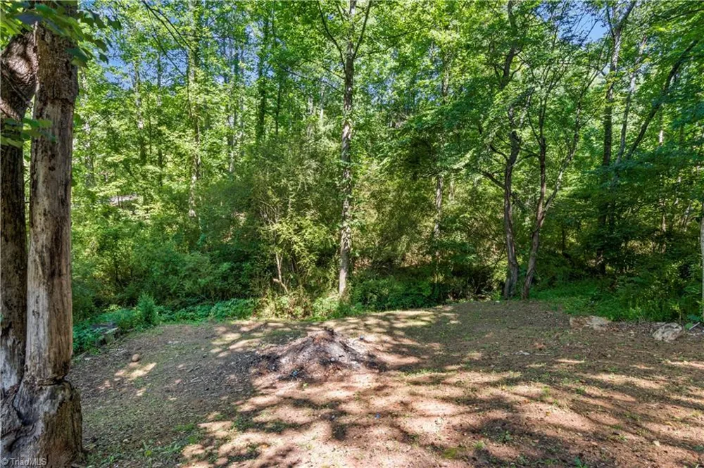 848 Huffman River Lane Purlear, NC 28665