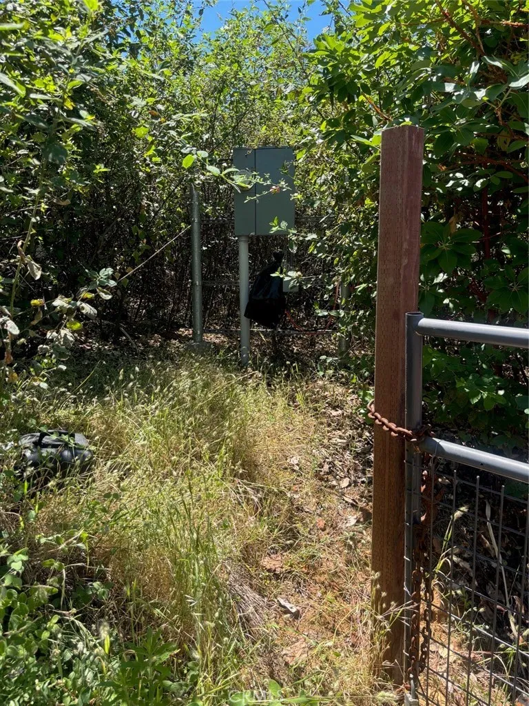 31 Rip Van Berry Creek, CA 95916