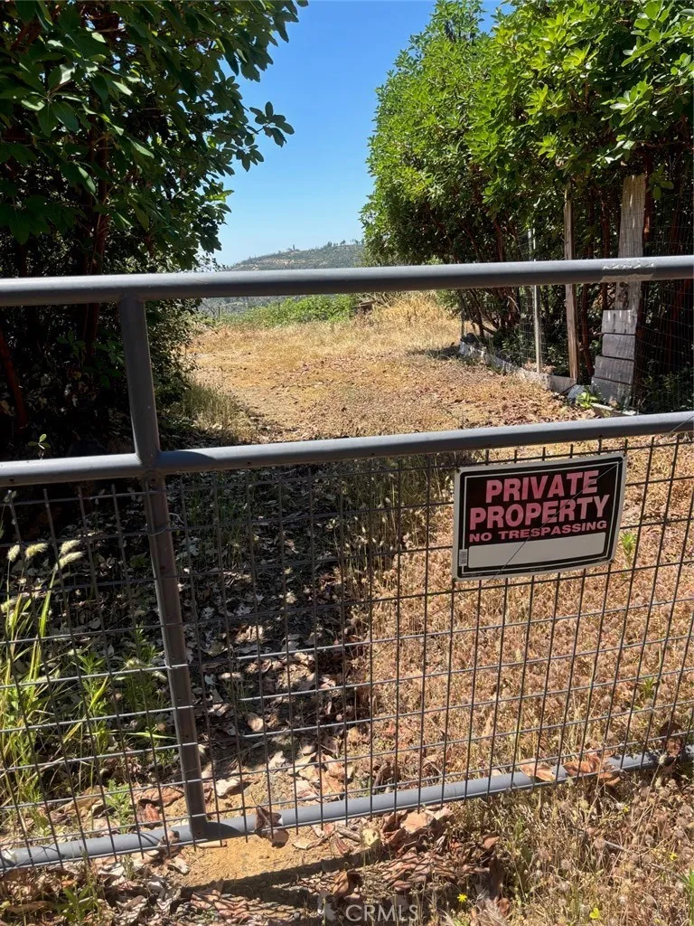 31 Rip Van Berry Creek, CA 95916
