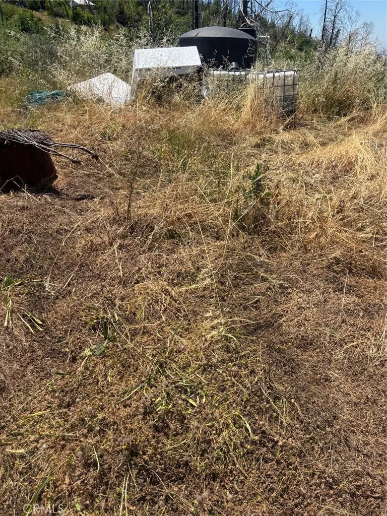31 Rip Van Berry Creek, CA 95916
