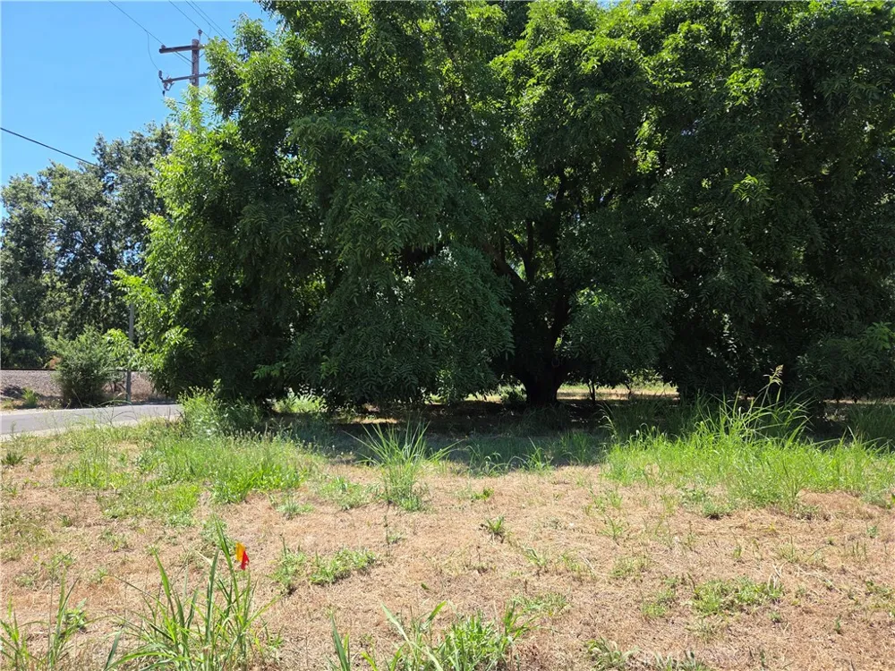 N. 4TH STREET Tehama, CA 96090