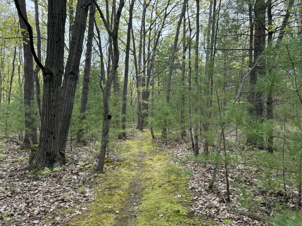Critter Trail Manistee, MI 49660
