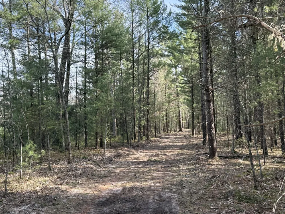 Critter Trail Manistee, MI 49660