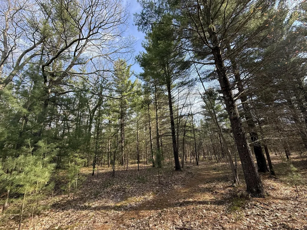 Critter Trail Manistee, MI 49660