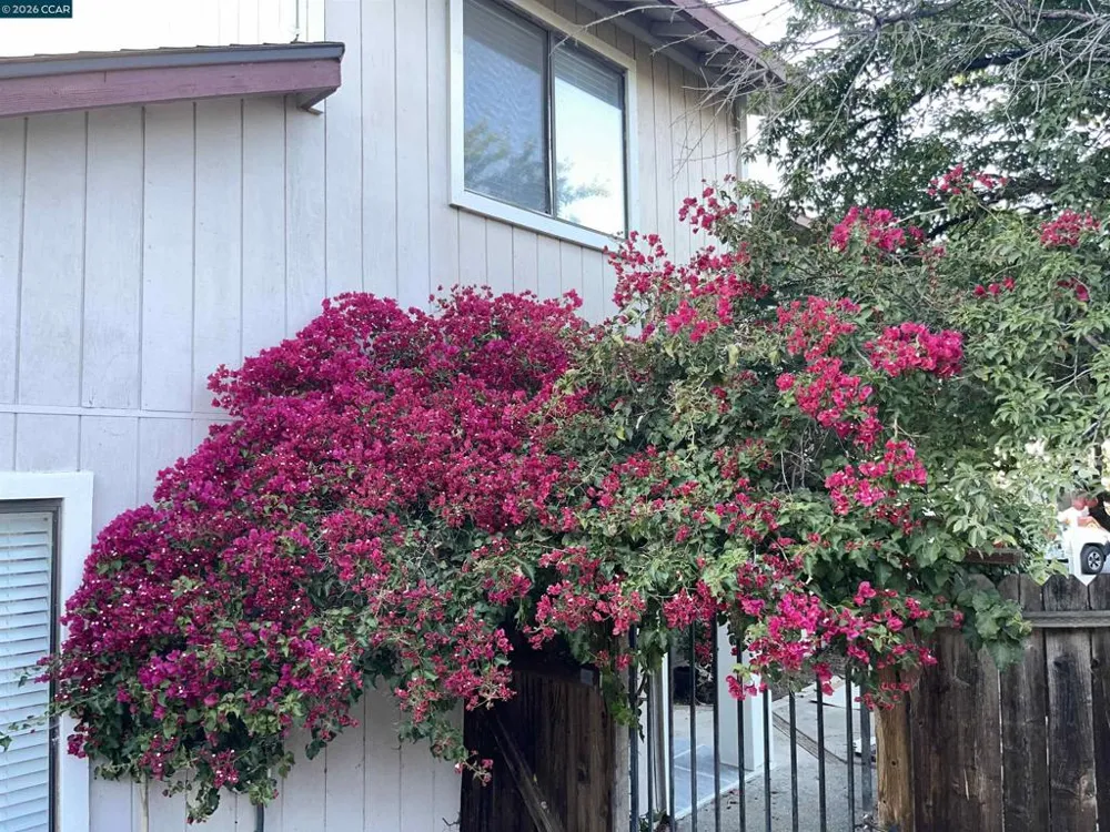 150 Pico Pl Bay Point, CA 94565