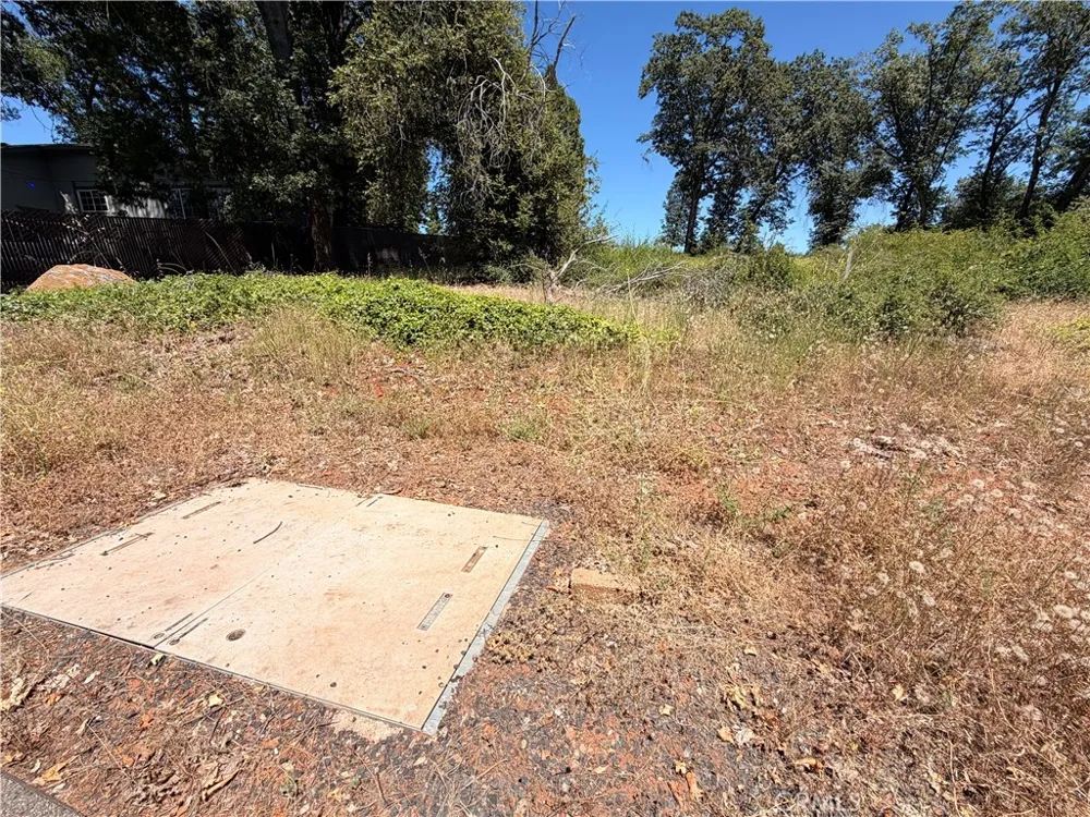 13480 Athens Magalia, CA 95954