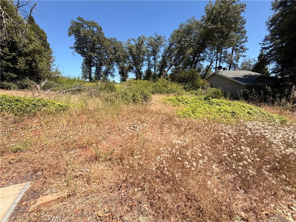 13480 Athens Magalia, CA 95954