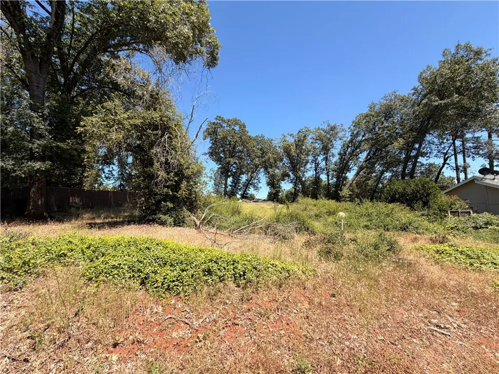 13480 Athens Magalia, CA 95954