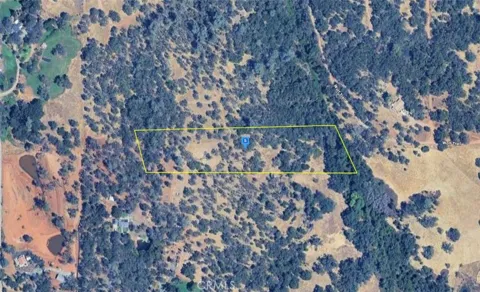 5080 Wolf Trail