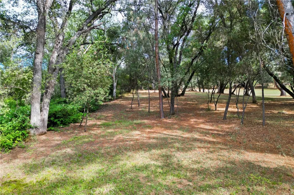 18025 Dolores Sonora, CA 95370