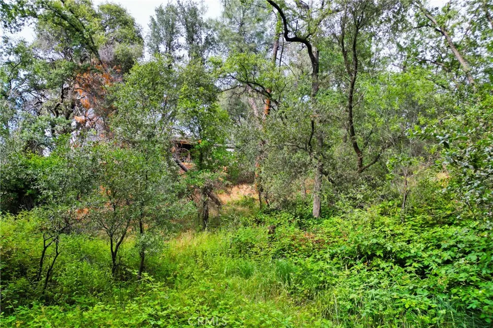 18025 Dolores Sonora, CA 95370