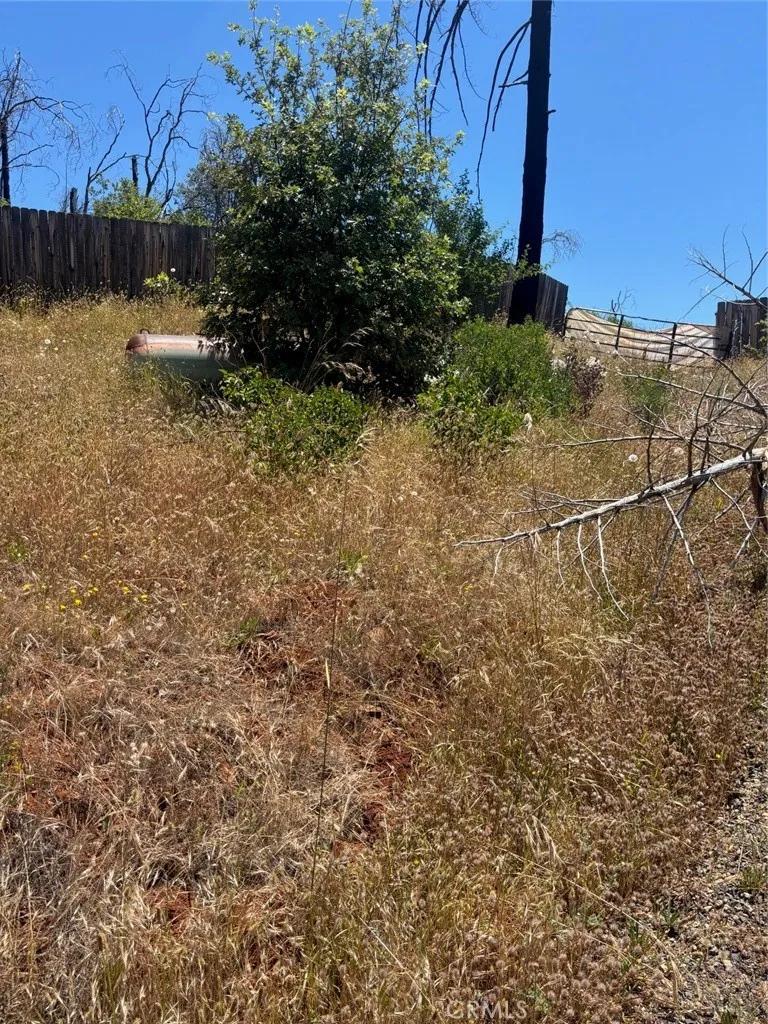 201 Pine Tree Berry Creek, CA 95916