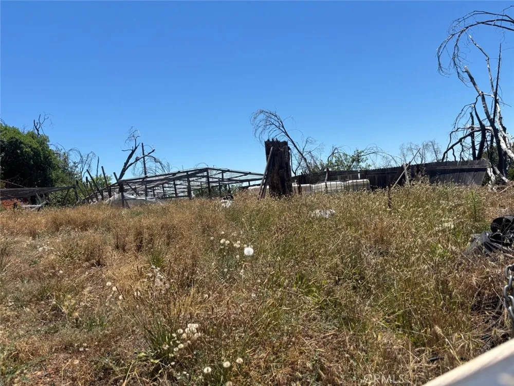 201 Pine Tree Berry Creek, CA 95916