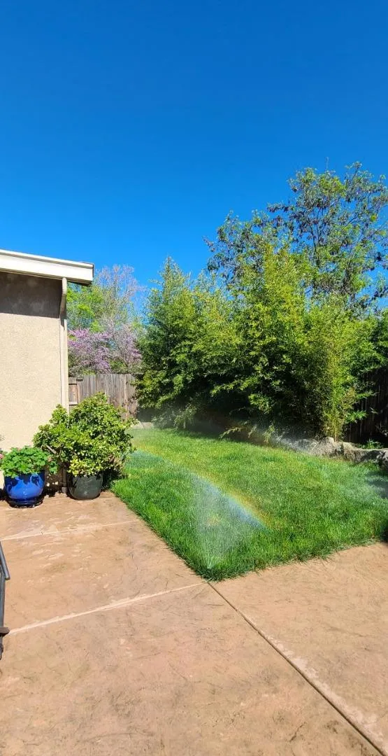 10133 Annie Street Elk Grove, CA 95757