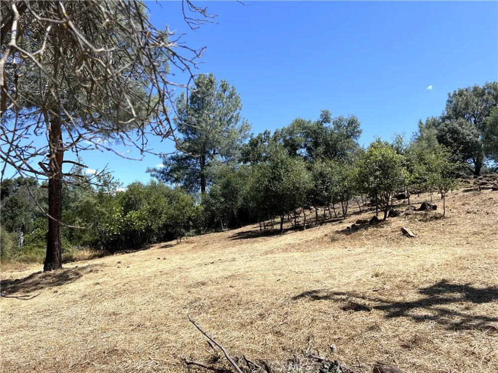15686 23rd Avenue Clearlake, CA 95422