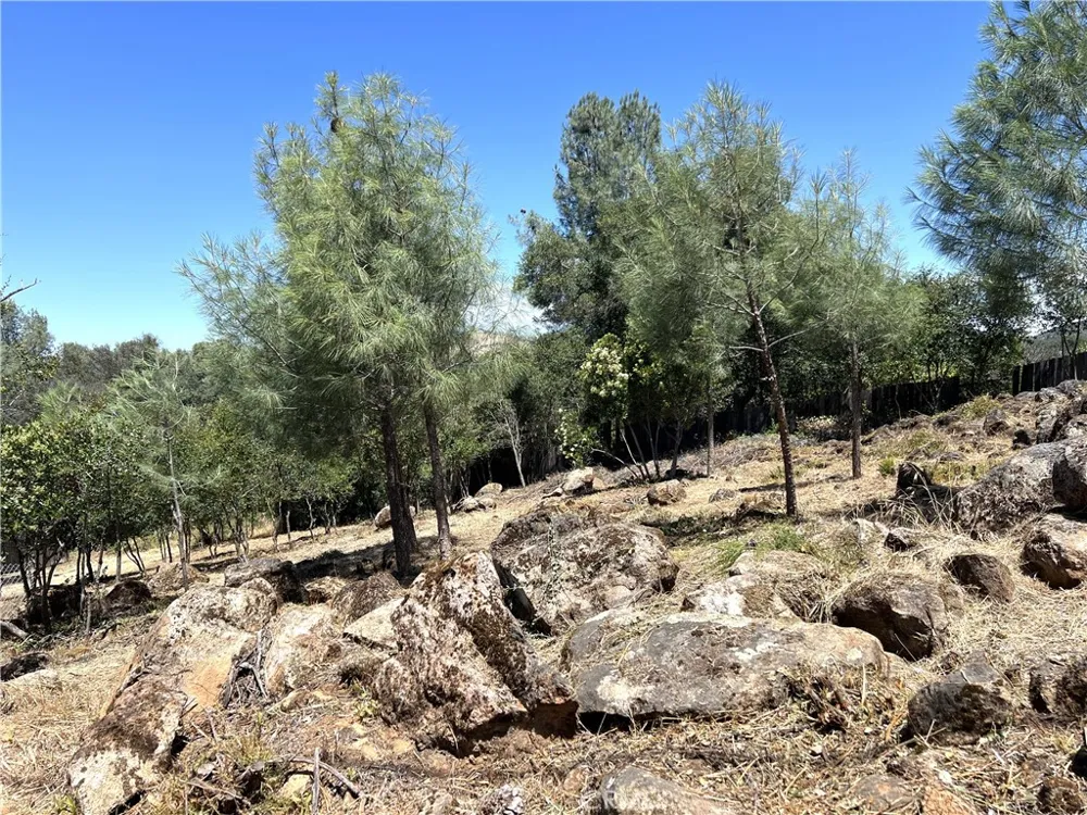 15686 23rd Avenue Clearlake, CA 95422