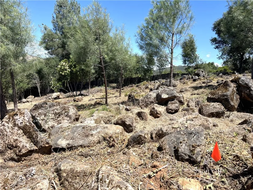 15686 23rd Avenue Clearlake, CA 95422