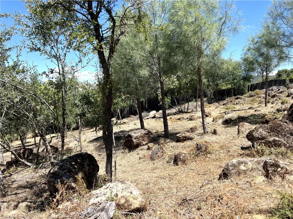 15686 23rd Avenue Clearlake, CA 95422