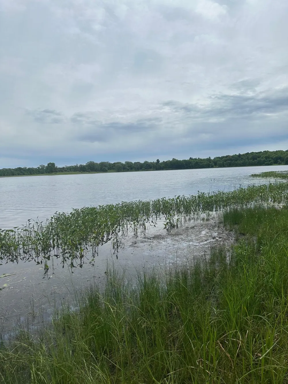 25650 Wilson Court Deerwood, MN 56444