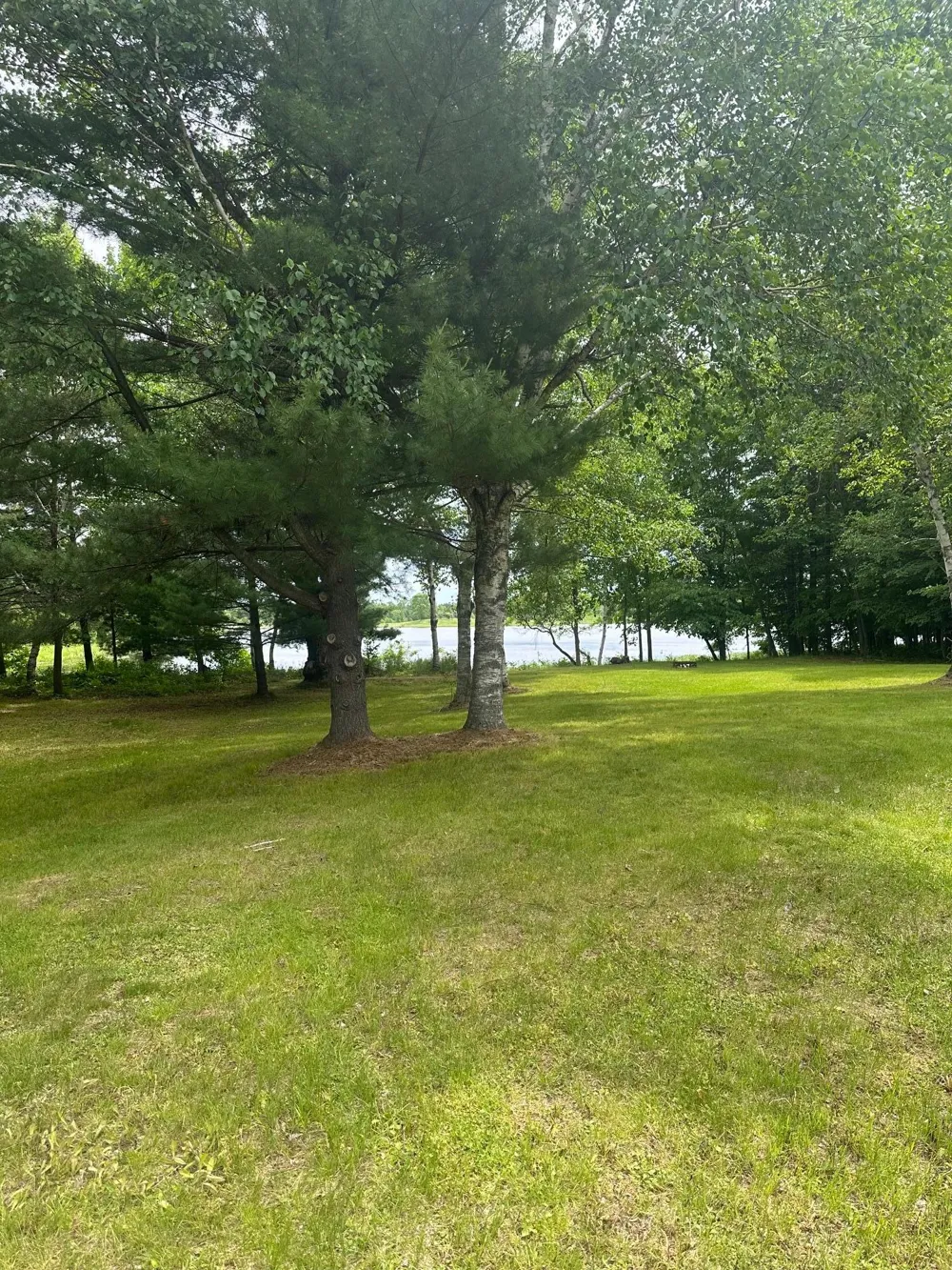 25650 Wilson Court Deerwood, MN 56444