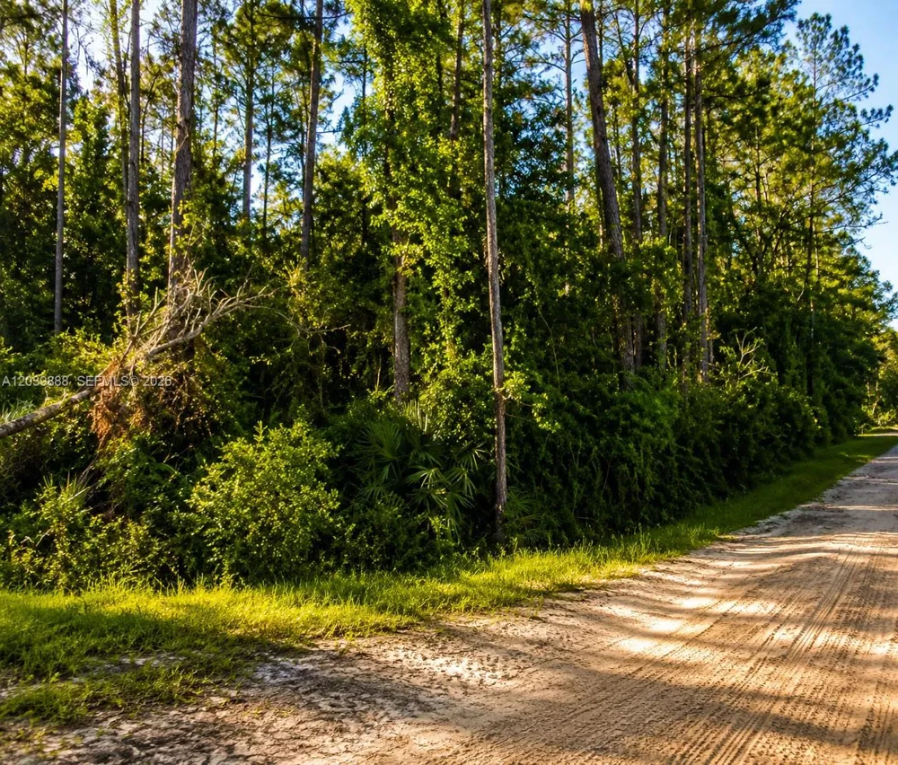 Address Not Shown Other City - In The State Of Florida, FL 32139