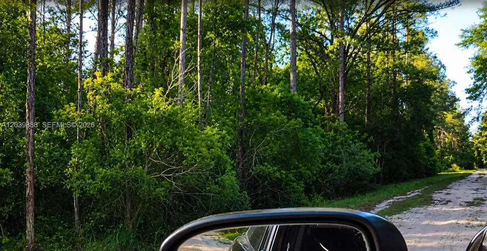 Address Not Shown Other City - In The State Of Florida, FL 32139