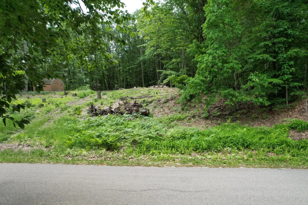 4209 E Townline Road Fountain, MI 49410