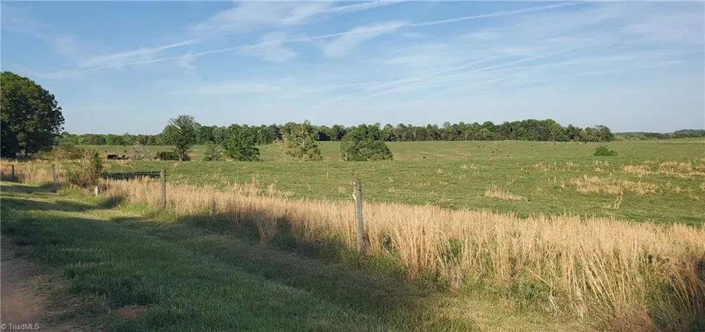 795 Elk Shoals Church Loop Stony Point, NC 28678