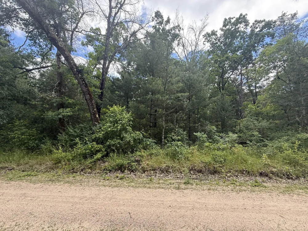 V/L Chestwood Idlewild, MI 49642
