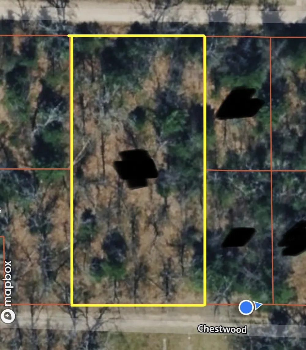 V/L Chestwood Idlewild, MI 49642