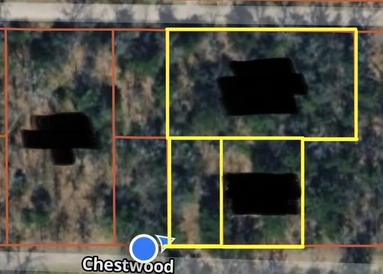 1578 Chestwood Idlewild, MI 49642