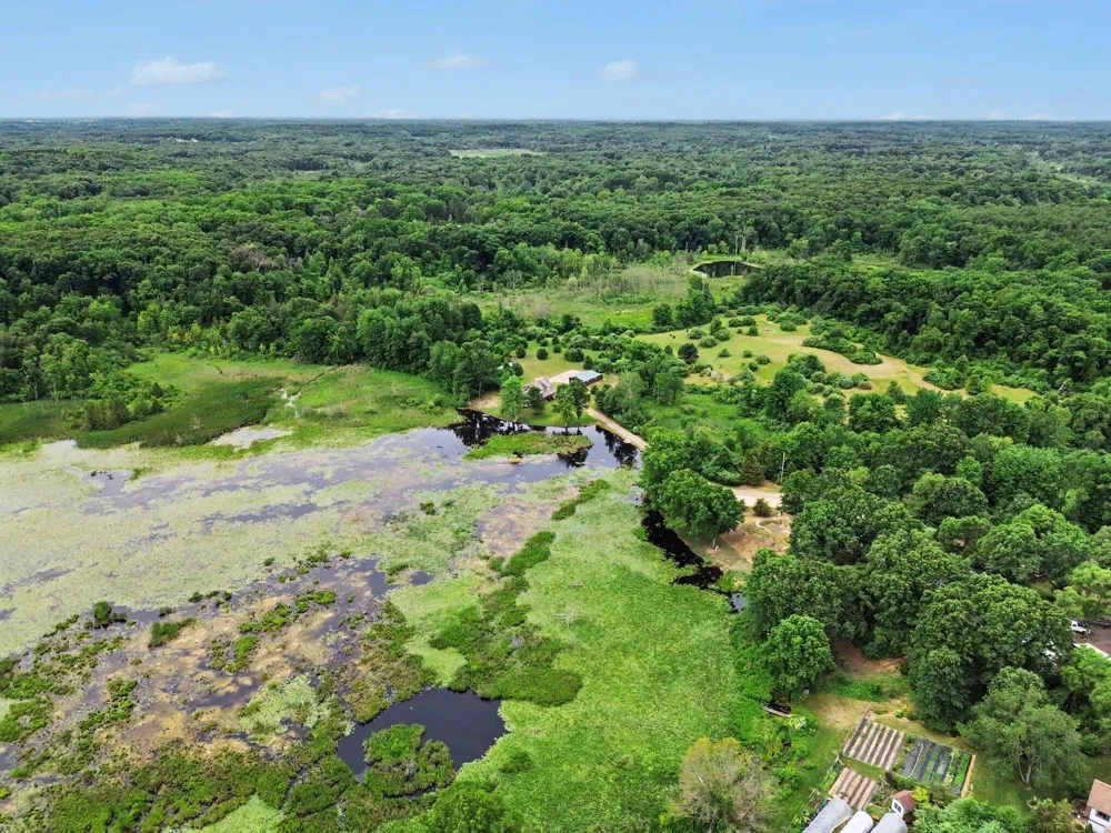 15303 Seymour Road Grass Lake, MI 49240