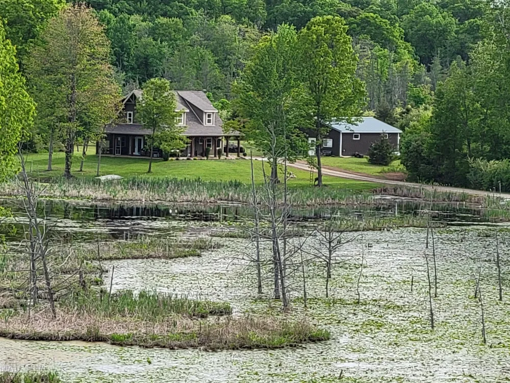 15303 Seymour Road Grass Lake, MI 49240
