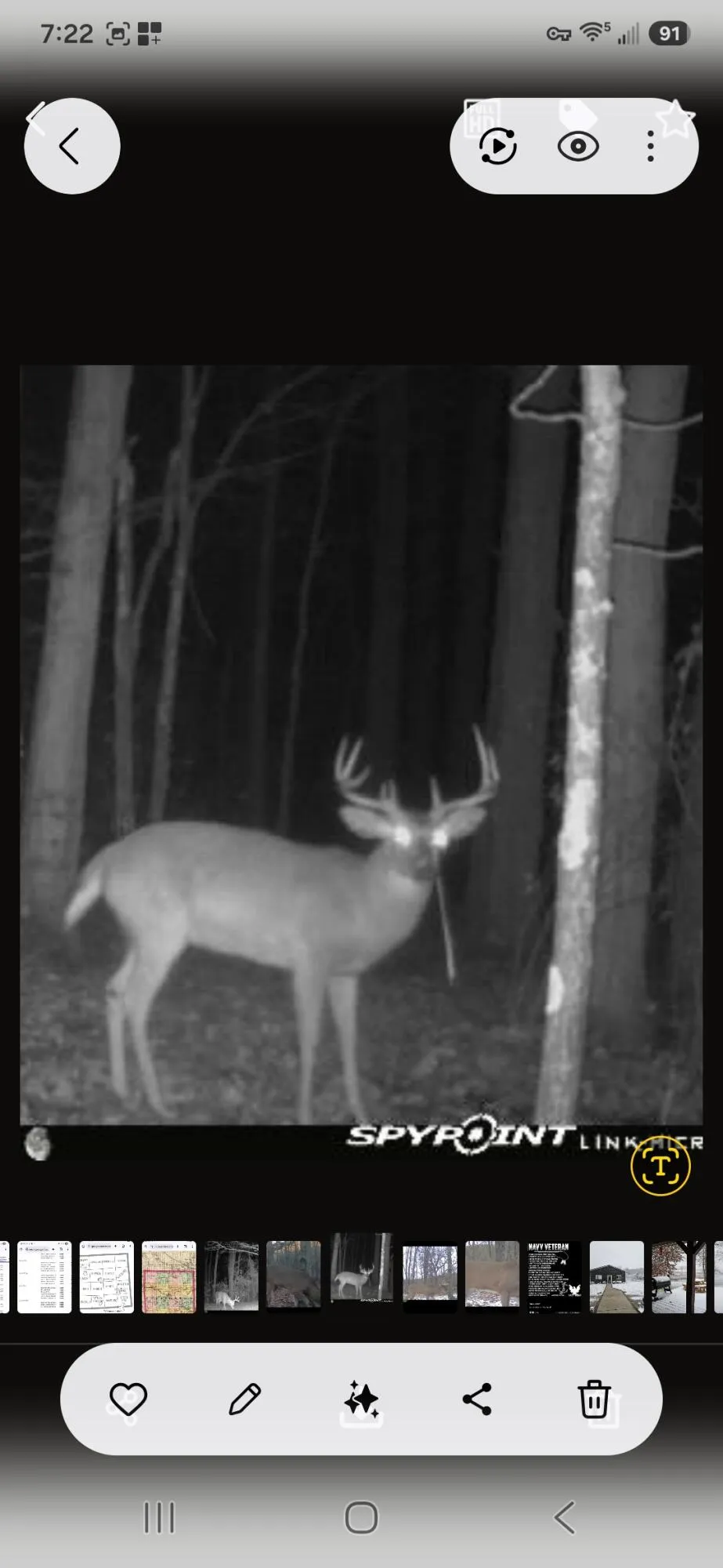15303 Seymour Road Grass Lake, MI 49240