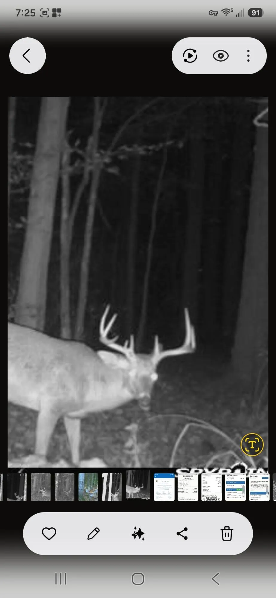 15303 Seymour Road Grass Lake, MI 49240