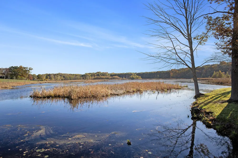 15303 Seymour Road Grass Lake, MI 49240
