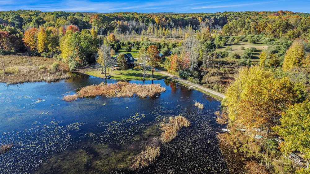 15303 Seymour Road Grass Lake, MI 49240