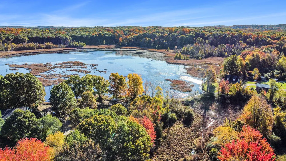 15303 Seymour Road Grass Lake, MI 49240