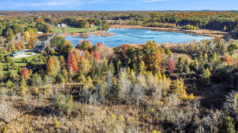 15303 Seymour Road Grass Lake, MI 49240