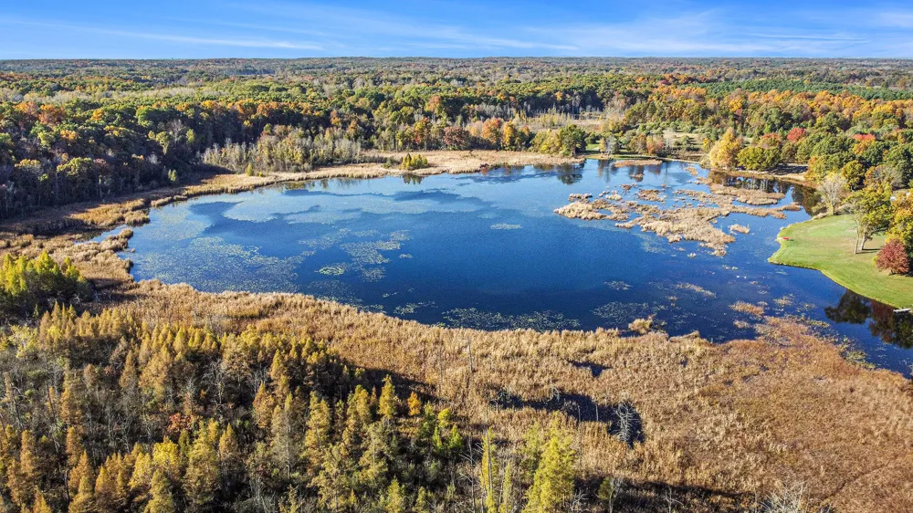 15303 Seymour Road Grass Lake, MI 49240