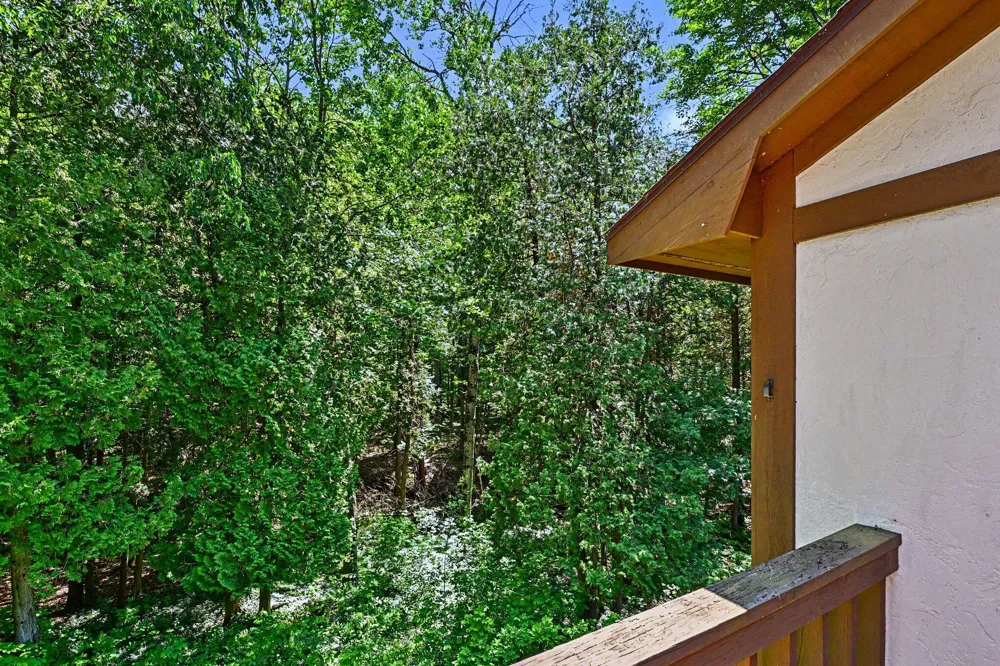 6865 Pinebrook Drive #12 Bellaire, MI 49615