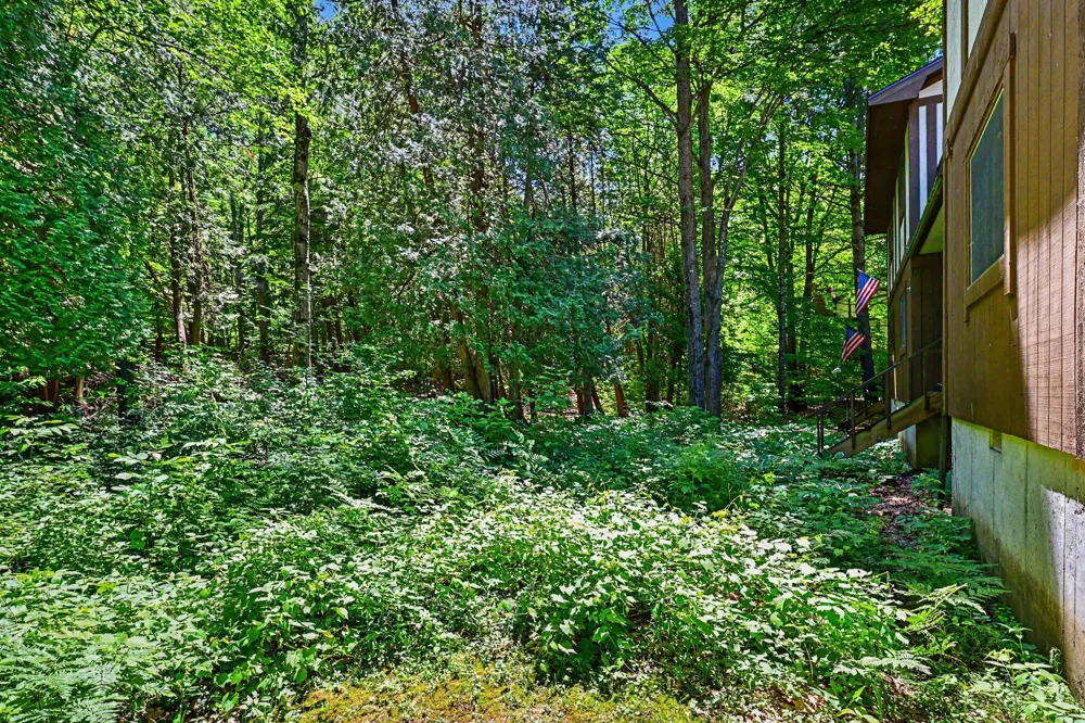 6865 Pinebrook Drive #12 Bellaire, MI 49615
