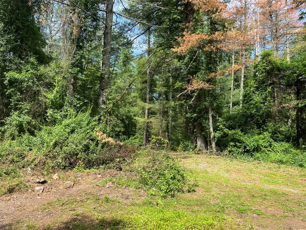 1145 Glasco Turnpike Saugerties, NY 12477