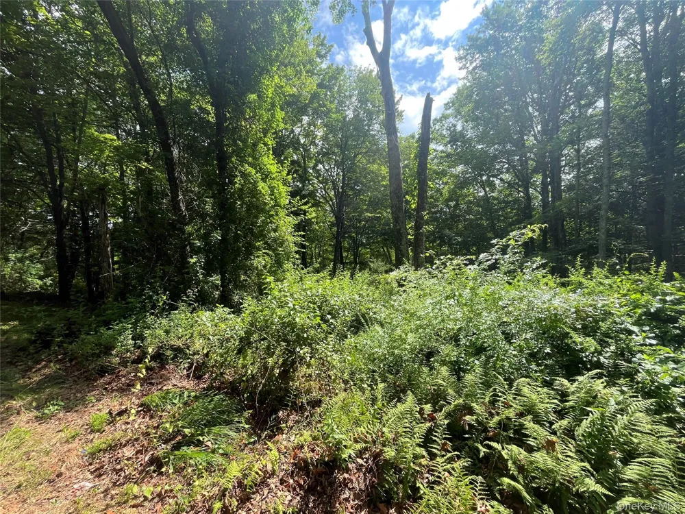 1145 Glasco Turnpike Saugerties, NY 12477