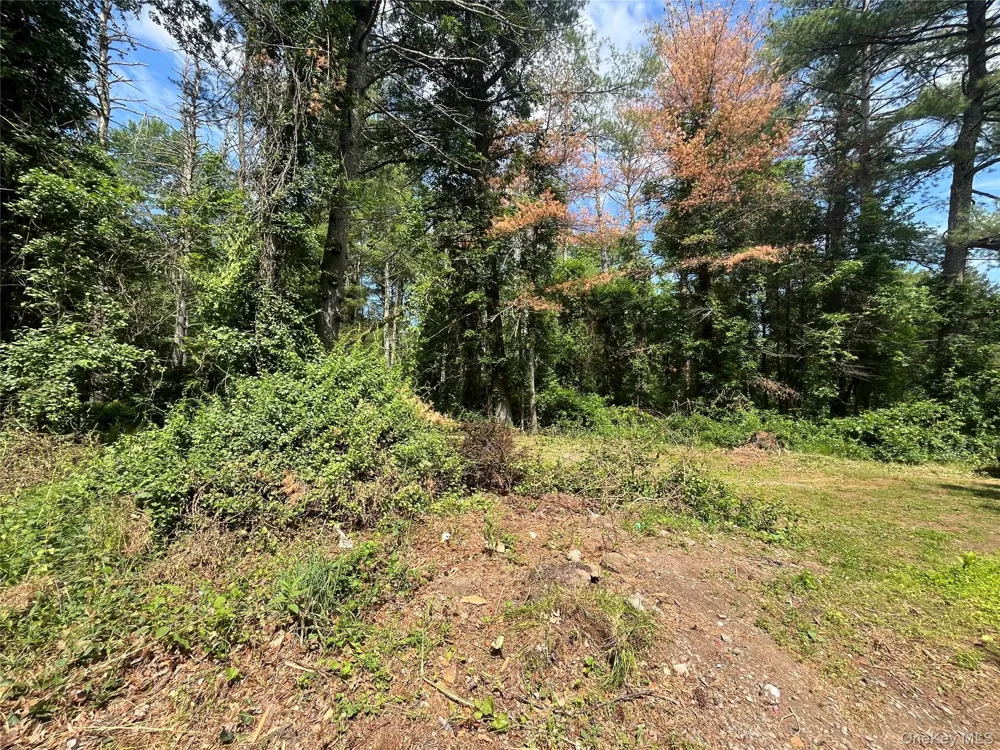 1145 Glasco Turnpike Saugerties, NY 12477