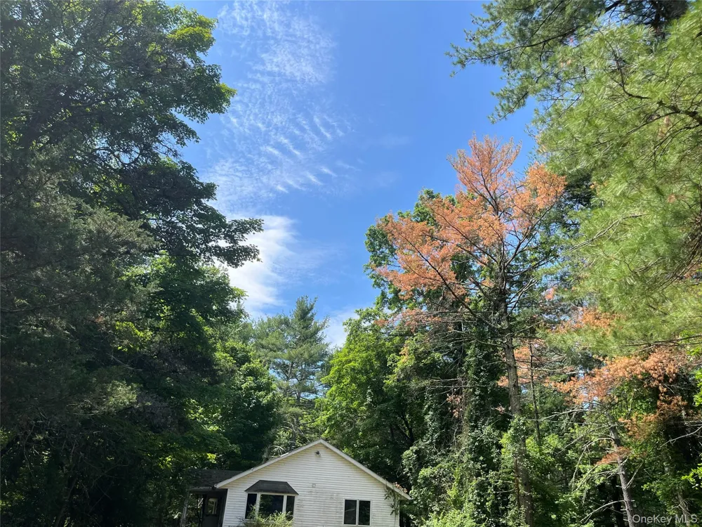 1145 Glasco Turnpike Saugerties, NY 12477