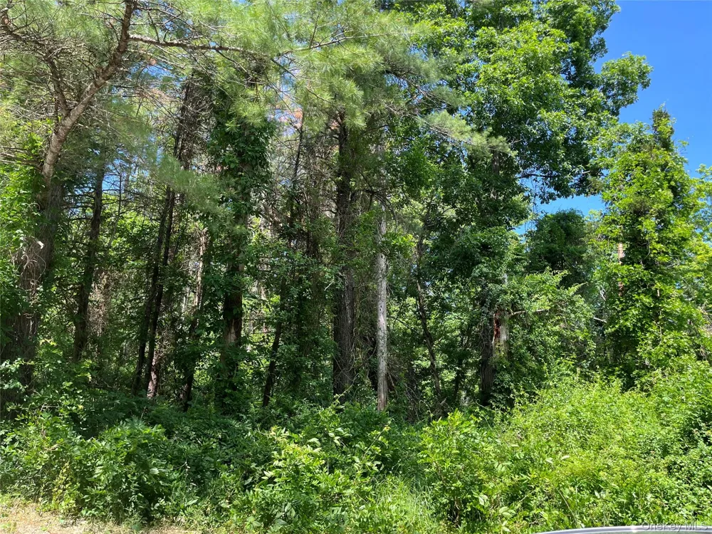 1145 Glasco Turnpike Saugerties, NY 12477