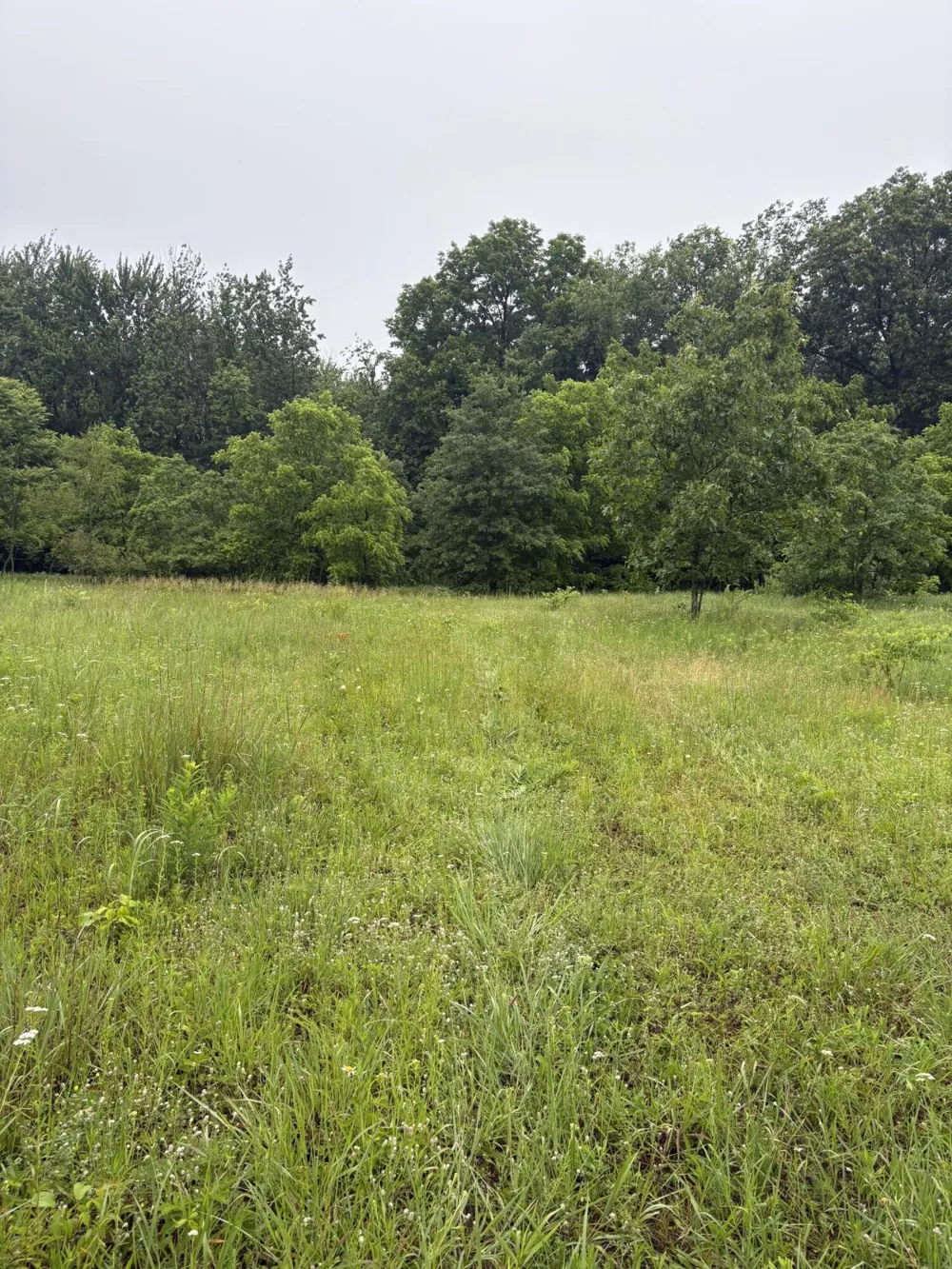 69704 Garver Lake Road Edwardsburg, MI 49112