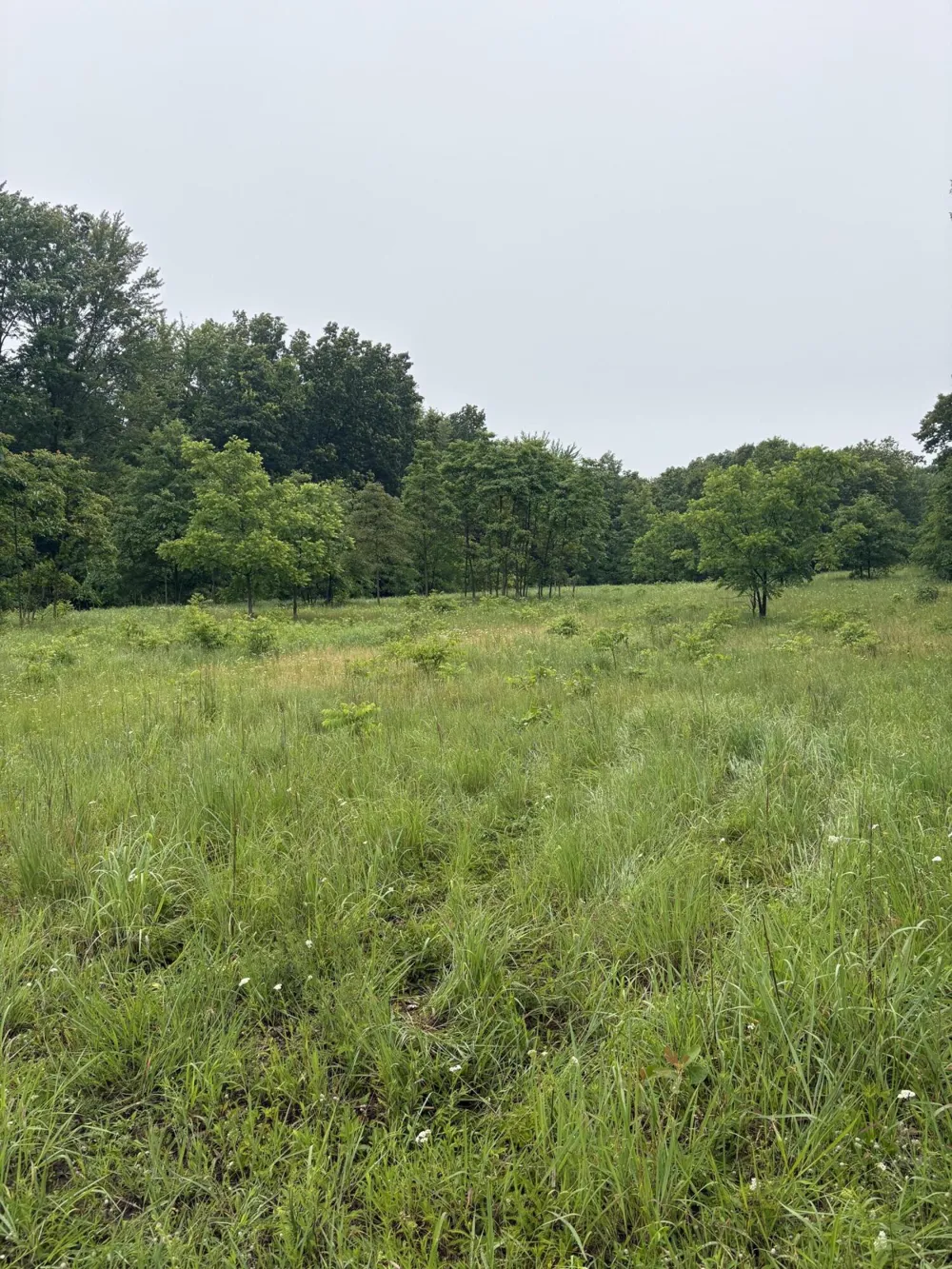 69704 Garver Lake Road Edwardsburg, MI 49112