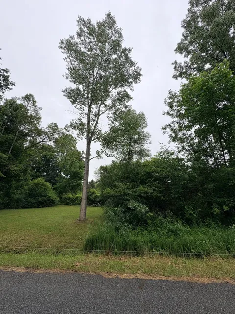 Crestview Drive